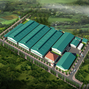 Bảo trì máy phát điện Mitsubishi MGS2000B tại Trà Vinh