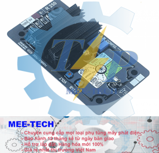 Bộ điều chỉnh điện áp (AVR) Leroy Somer R250