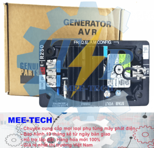 Bộ điều chỉnh điện áp (AVR) Leroy Somer R250