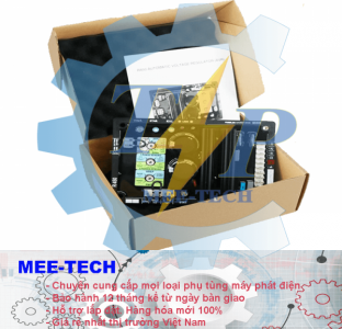 Bộ điều chỉnh điện áp (AVR) Leroy Somer R450