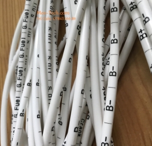 In Ống Lồng Đầu Cos